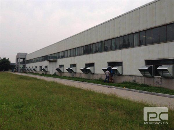 山东通风水蜜桃久久夜色精品国产黄加工哪家好