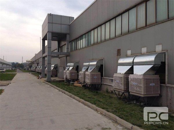 济南99精品国产兔费观看久久水蜜桃罩