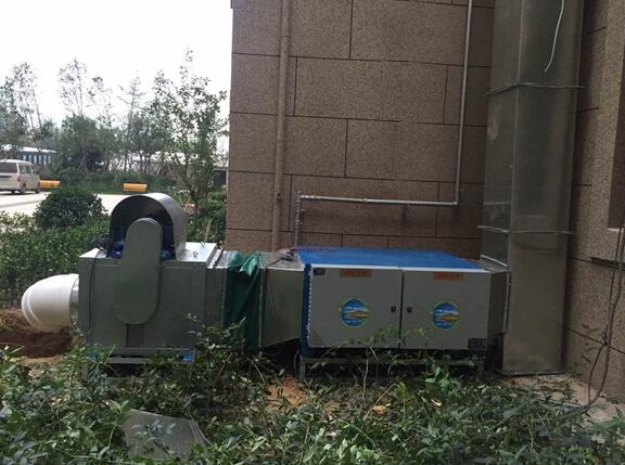 山东通风水蜜桃久久夜色精品国产黄加工