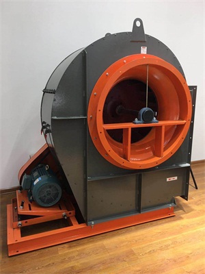 济南厨房99精品国产兔费观看久久水蜜桃