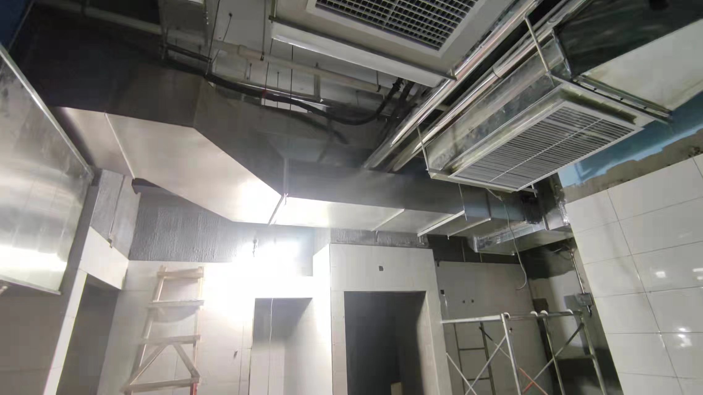 济南99精品国产兔费观看久久水蜜桃罩